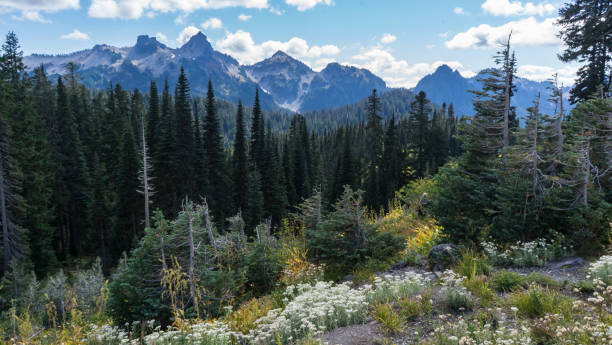 istock Clear sky on Mt. Rainer in autumn. 1045664594