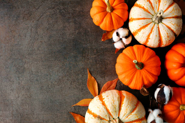 istock Autumn side border of pumpkins on a dark background 1045669132