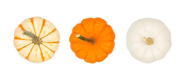 Photo of Assortment of autumn pumpkins, top view isolated on white