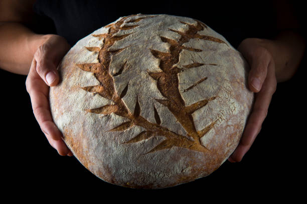 istock Hands holding a homemade loaf of bread 1045669300