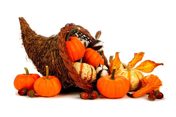 Thanksgiving cornucopia with pumpkins isolated on white Thanksgiving cornucopia filled with pumpkins isolated on a white background thanksgiving full stock pictures, royalty-free photos & images