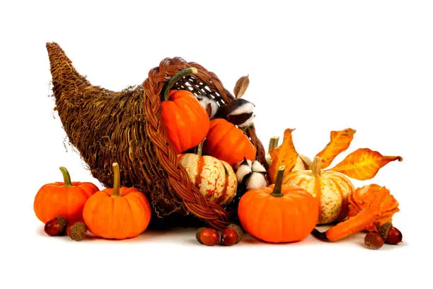 Photo of Thanksgiving cornucopia with pumpkins isolated on white
