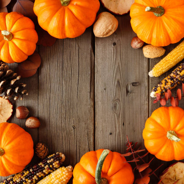 istock Autumn frame of pumpkins and decor on rustic wood 1045671556