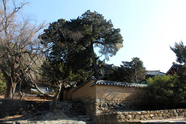 istock Oksanseowon Confucian Academy 1045674208