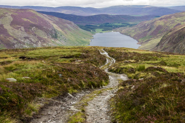 istock Loch Lee, Scotland 1045678804