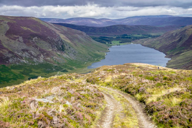 istock Loch Lee, Scotland 1045678818