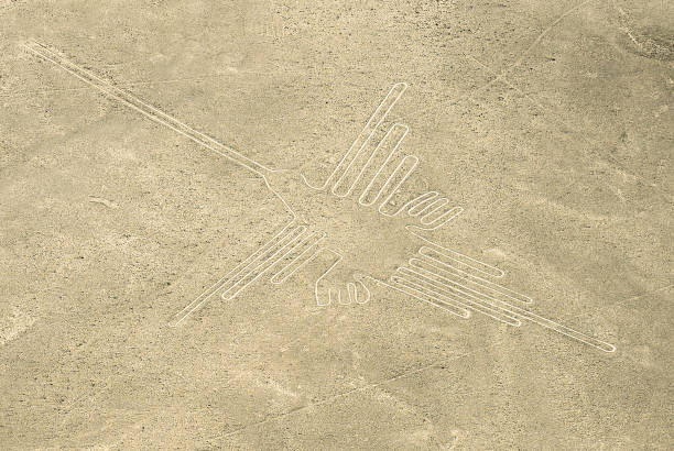 istock Hummingbird Nazca Lines, Peru 1045678950