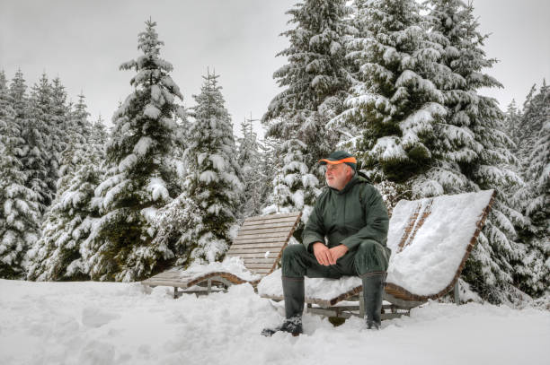 Hiker in snowy black forest stock photo