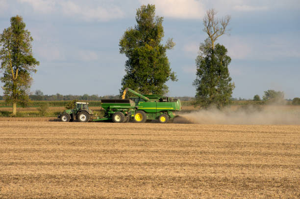 A John Deer combine harvesting a field of soy beans on a clear fall day in Southwestern Ontario, Canada.