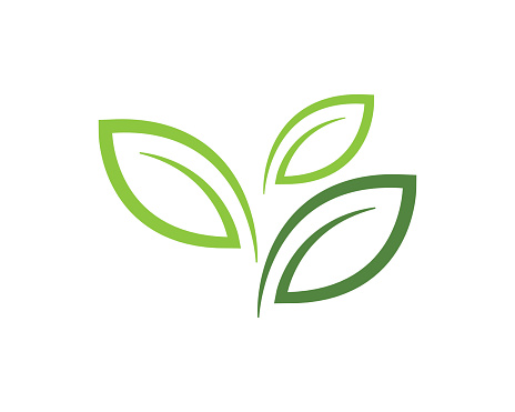 Tree leaf vector   design, eco-friendly concept.