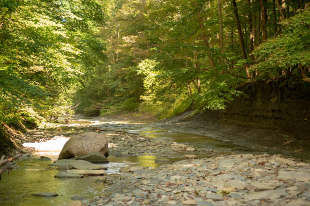 istock Slate bottom of creek at low water later summer 1045712696
