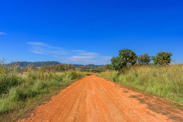 istock Dirt road and landscape countryside. 1045712750