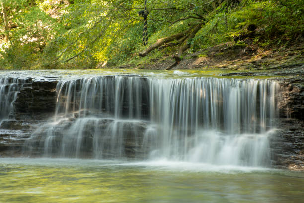 istock Waterfall on small creek in late summer 1045716988