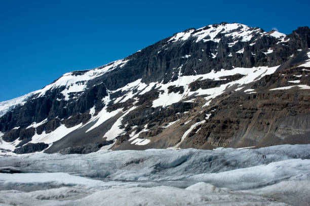 istock Mountain Peak at Columbia Icefield 1045717246