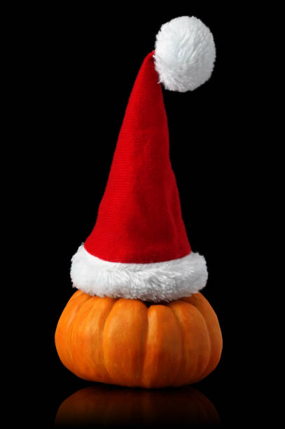 istock Single orange pumpkin with Christmas Santa hat 1045724800