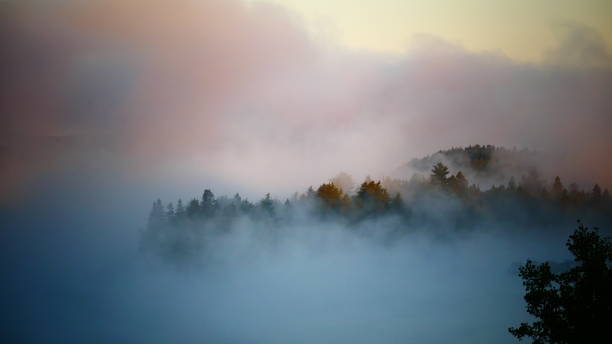 istock Morning fog on the rose-tinted river 1045725010