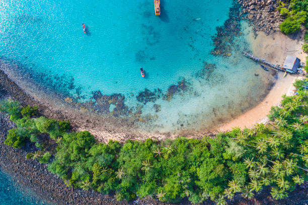 istock Blue turquoise water sea island with green tree summer vacation background 1045761498