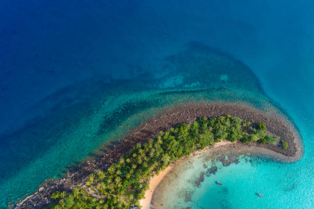 istock Blue turquoise water sea island with green tree summer vacation background 1045763972