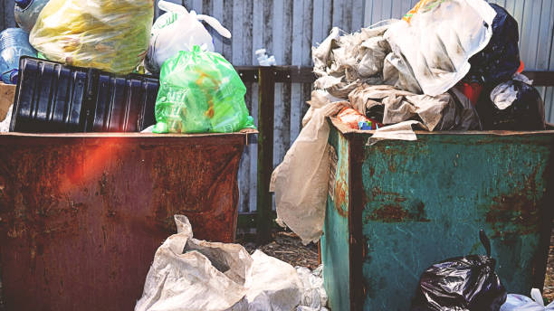 istock Litter box full of garbage in forest. Concept of ecology problem. 1045770844