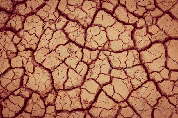 istock Crack earth/Crack soil on dry season/Global worming effect 1045775766