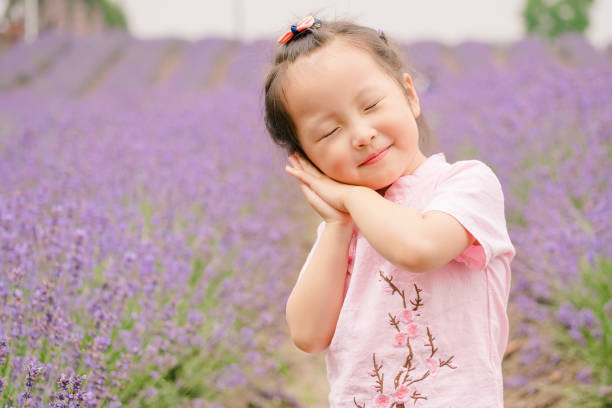 작은 아기와 자 제스처를 만드는 라벤더 밭에서 손을 턱, 사랑 스러운 머리와 아름 다운 젊은 여자. - baby toddler child flower 뉴스 사진 이미지