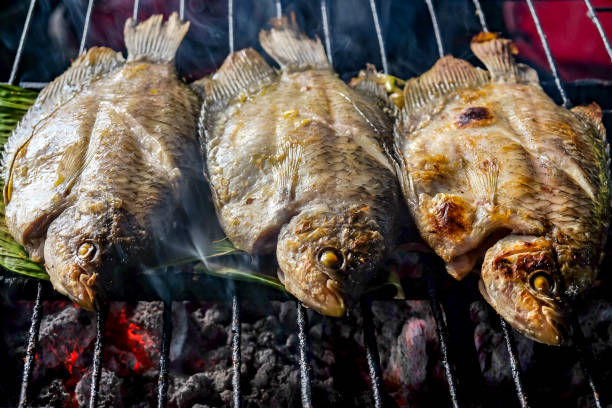 Grilled sea bream at the beginning of the meal prepared for the celebration