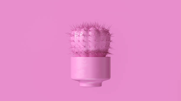 istock Pink Cactus with Pink Plant Pot 1045808686