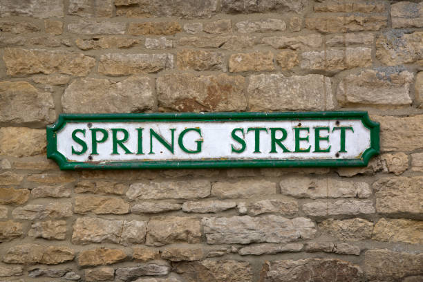 istock Spring Street Road Sign 1045817934