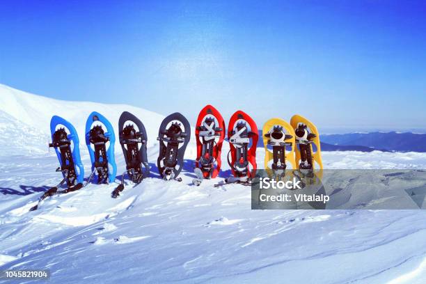 Photo libre de droit de Trekking Dans Les Montagnes De Lhiver Raquettes À Neige Se Tiennent Dans La Neige banque d'images et plus d'images libres de droit de Raquette à neige