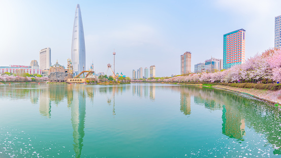 Seokchon Lake Cherry Blossom Festival with Lotte World Tower, Seoul, South Korea 2017