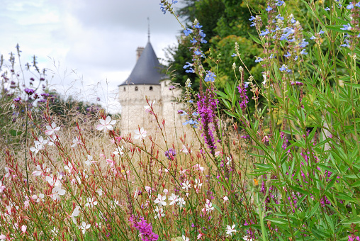 Chaumont-sur-Loire, France - August 27, 2014: The Chaumont castle Loire valley region France in blooming fields