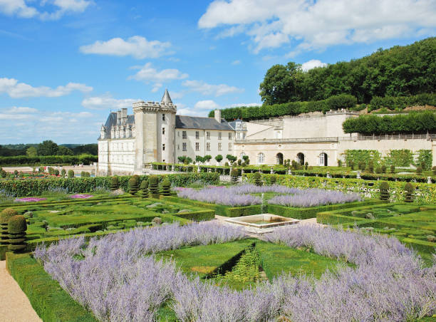 Villandry, France - August 29, 2014: Villandry castle in Loire valley France formal garden in bloom