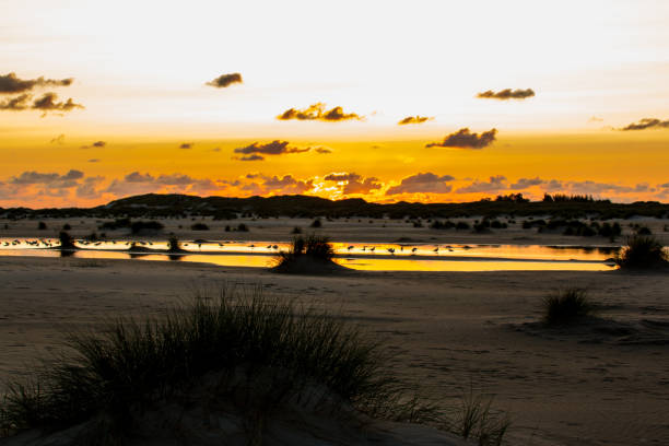 Amrum Sunset 290+ Kniepsand Photos Stock Photos, Pictures & Royalty-Free Images - iStock