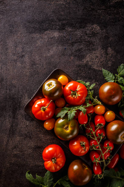istock Varieties of colorful tomatos 1045845956