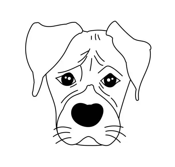 Vector illustration of Monochrome boxer dog cute head and expression face