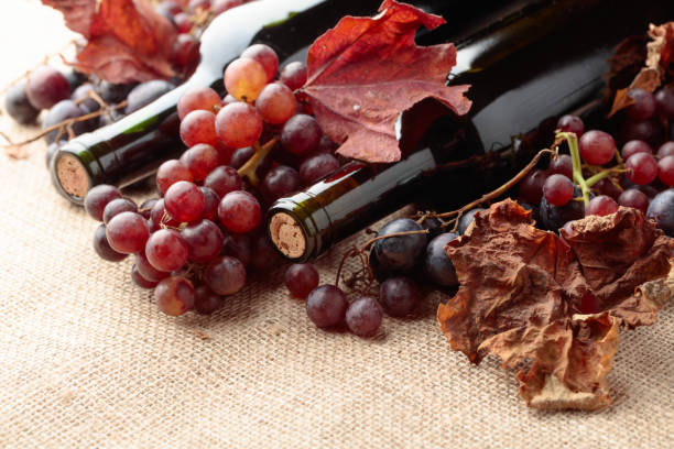istock Red wine bottles and  grapes with dried up vine leaves. 1045849086