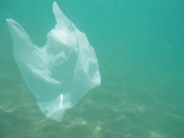 istock Plastic bag floating into the sea. Polluted enviromental. Recycle 1045850168