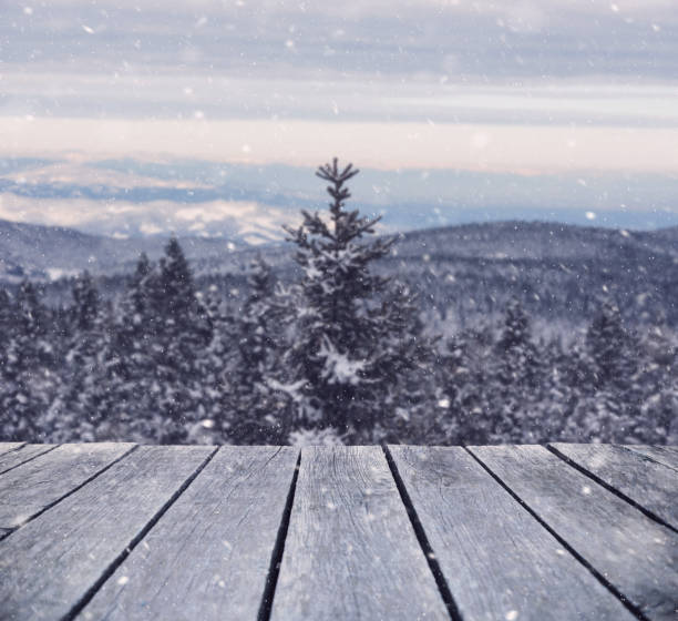 istock Snowy morning in the mountains 1045853652