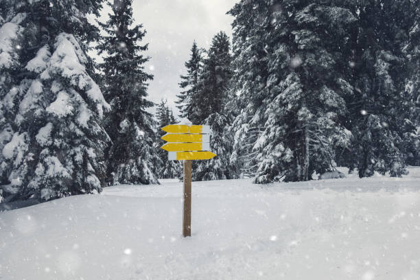 istock Directional Signs In Winter Storm 1045857440