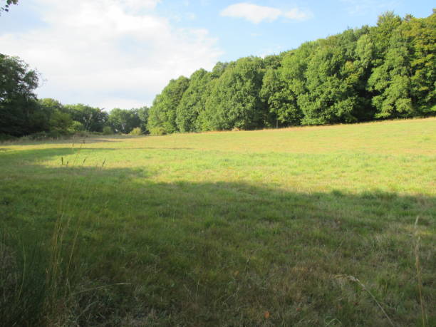 istock Countryside landscapes 1045865422