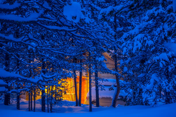 istock Cottage in the Winter Forest 1045866822