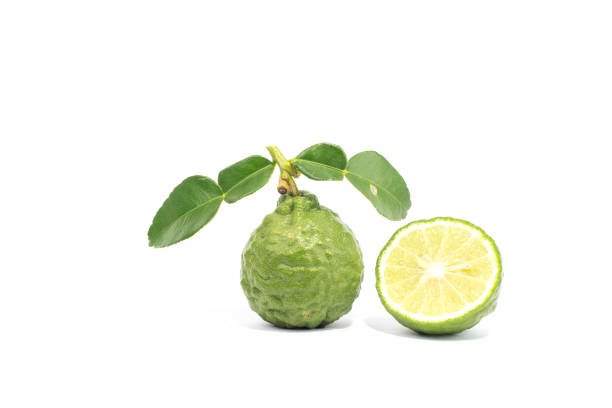 istock Bergamot and fresh green leaves isolated on white background. 1045872838