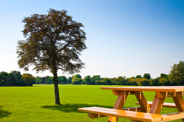 Picnic table on a green meadow with trees on background
