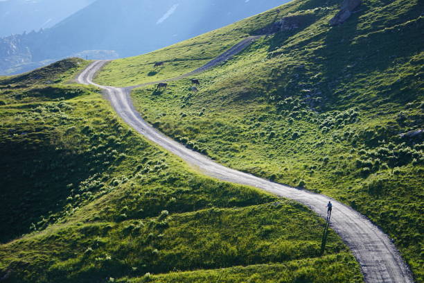 istock Hiking in the mountains on a long path or track 1045887426