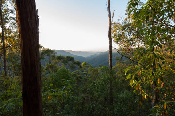 istock Gheerulla Valley from the Ubajee Lookout 1045891242