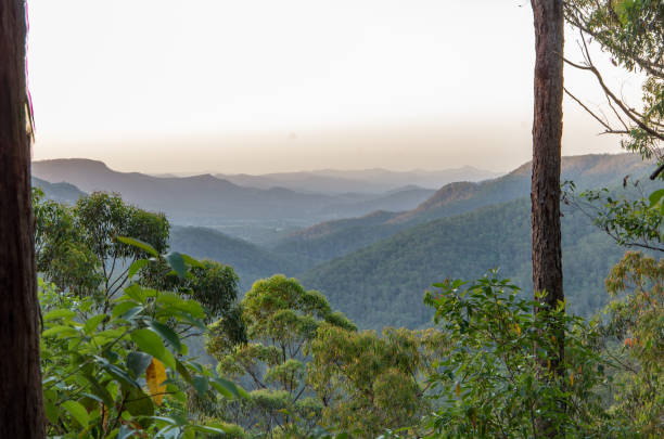istock Gheerulla Valley from the Ubajee Lookout 1045891466