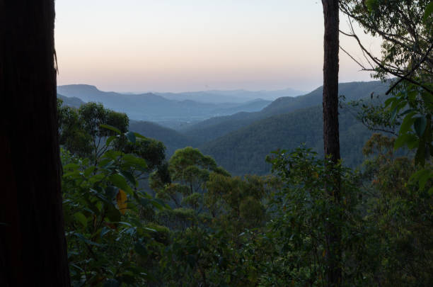 istock Gheerulla Valley from the Ubajee Lookout 1045891512
