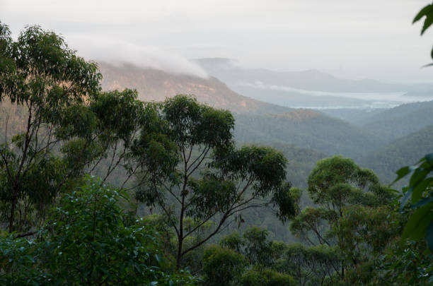 istock Gheerulla Valley from the Ubajee Lookout 1045891818