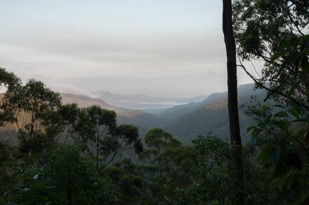 istock Gheerulla Valley from the Ubajee Lookout 1045891826
