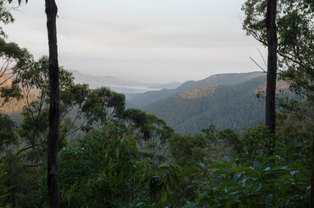 istock Gheerulla Valley from the Ubajee Lookout 1045891902